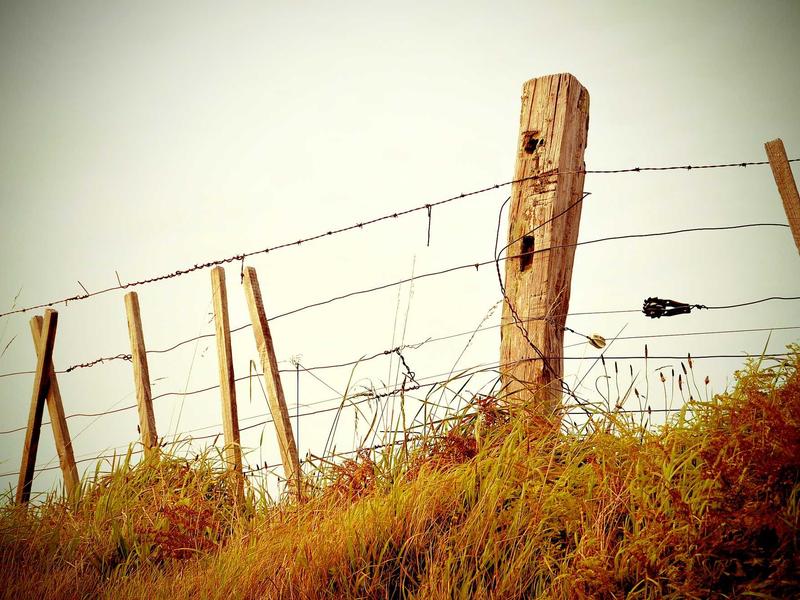 App占用清理<br>软件缓存数据清理减负教学